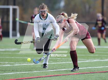 Thumbnail 1 in Whitney Point vs. Carle Place (NYSPHSAA Class C Final) photogallery.