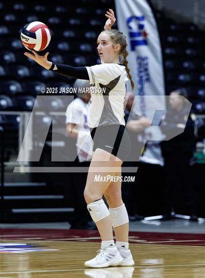 Thumbnail 1 in Goliad vs. Bushland (UIL 3A D1 Volleyball Final) photogallery.