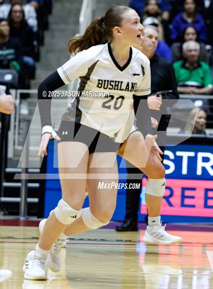 Thumbnail 3 in Goliad vs. Bushland (UIL 3A D1 Volleyball Final) photogallery.