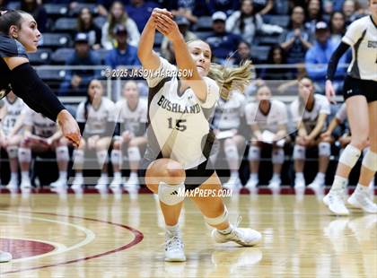 Thumbnail 3 in Goliad vs. Bushland (UIL 3A D1 Volleyball Final) photogallery.