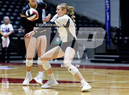Thumbnail 1 in Goliad vs. Bushland (UIL 3A D1 Volleyball Final) photogallery.