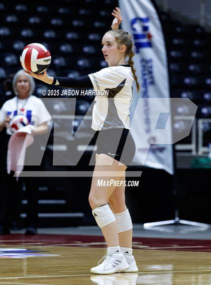 Thumbnail 1 in Goliad vs. Bushland (UIL 3A D1 Volleyball Final) photogallery.