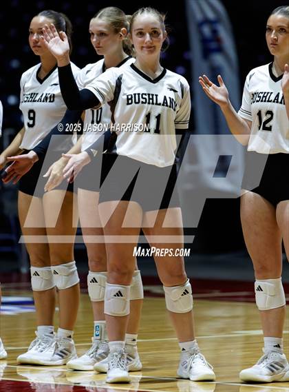 Thumbnail 2 in Goliad vs. Bushland (UIL 3A D1 Volleyball Final) photogallery.