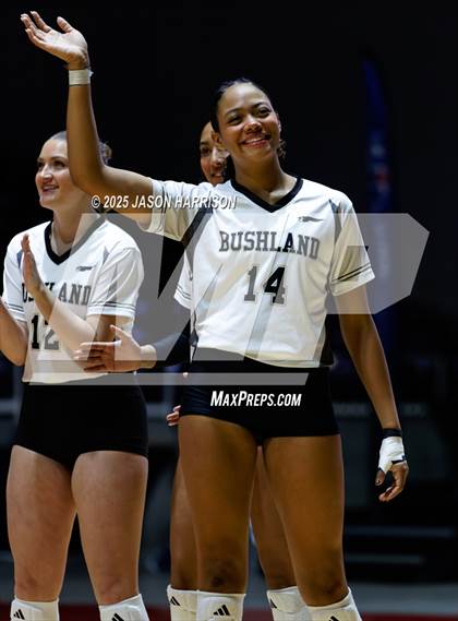 Thumbnail 1 in Goliad vs. Bushland (UIL 3A D1 Volleyball Final) photogallery.