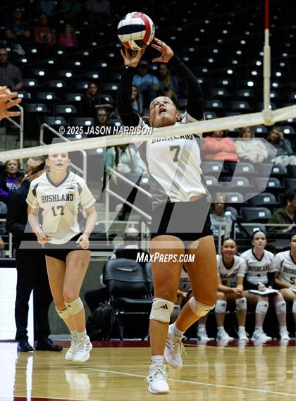 Thumbnail 2 in Goliad vs. Bushland (UIL 3A D1 Volleyball Final) photogallery.