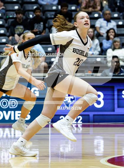 Thumbnail 1 in Goliad vs. Bushland (UIL 3A D1 Volleyball Final) photogallery.