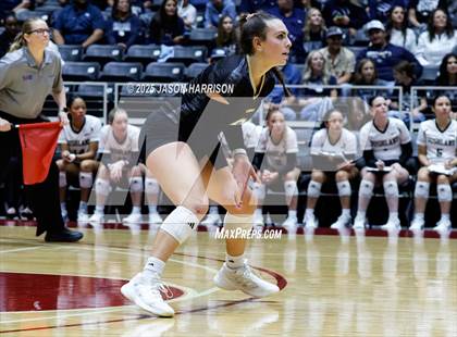 Thumbnail 2 in Goliad vs. Bushland (UIL 3A D1 Volleyball Final) photogallery.