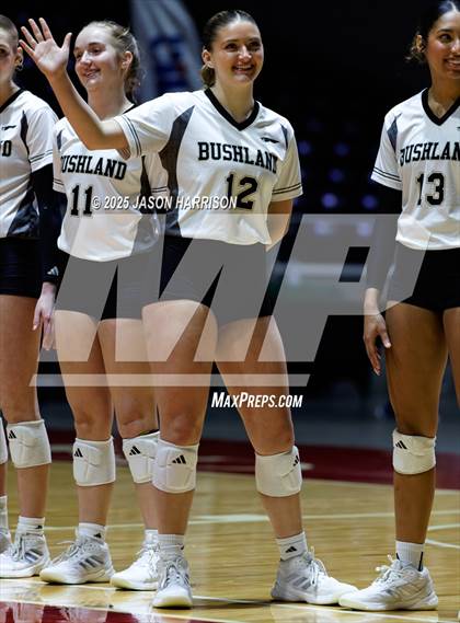 Thumbnail 3 in Goliad vs. Bushland (UIL 3A D1 Volleyball Final) photogallery.
