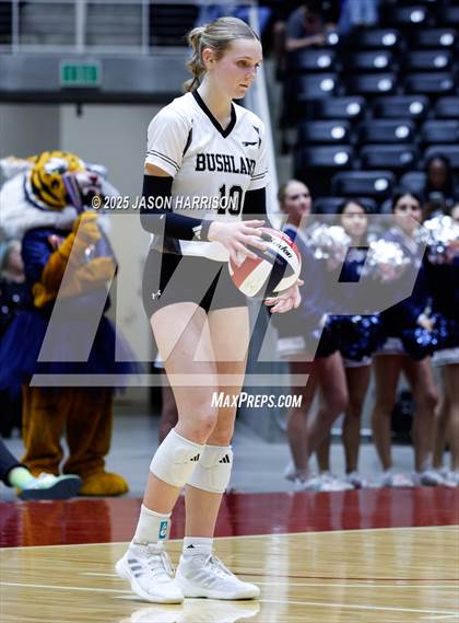 Thumbnail 1 in Goliad vs. Bushland (UIL 3A D1 Volleyball Final) photogallery.
