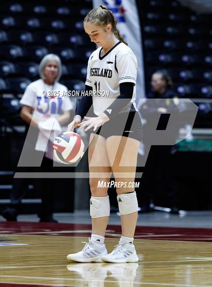 Thumbnail 3 in Goliad vs. Bushland (UIL 3A D1 Volleyball Final) photogallery.