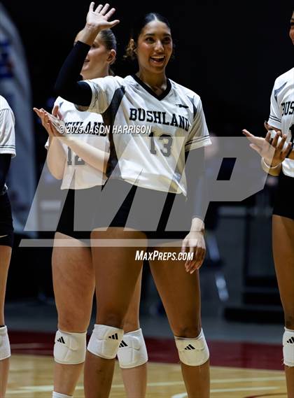 Thumbnail 2 in Goliad vs. Bushland (UIL 3A D1 Volleyball Final) photogallery.