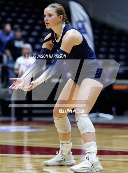 Thumbnail 3 in Goliad vs. Bushland (UIL 3A D1 Volleyball Final) photogallery.