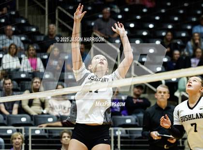 Thumbnail 1 in Goliad vs. Bushland (UIL 3A D1 Volleyball Final) photogallery.