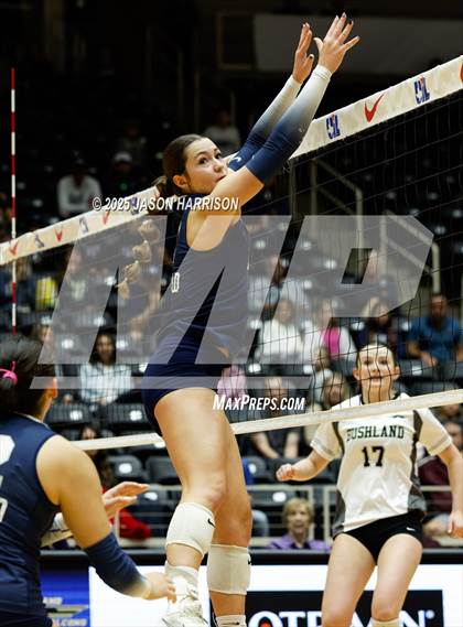 Thumbnail 2 in Goliad vs. Bushland (UIL 3A D1 Volleyball Final) photogallery.
