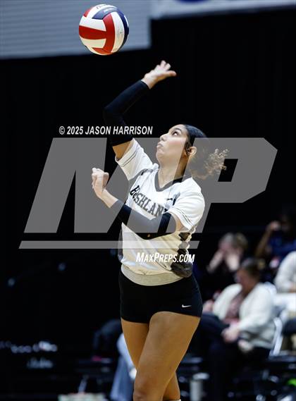 Thumbnail 2 in Goliad vs. Bushland (UIL 3A D1 Volleyball Final) photogallery.