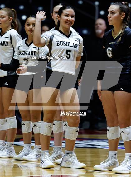 Thumbnail 3 in Goliad vs. Bushland (UIL 3A D1 Volleyball Final) photogallery.