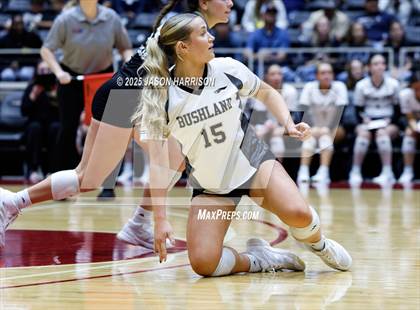 Thumbnail 1 in Goliad vs. Bushland (UIL 3A D1 Volleyball Final) photogallery.