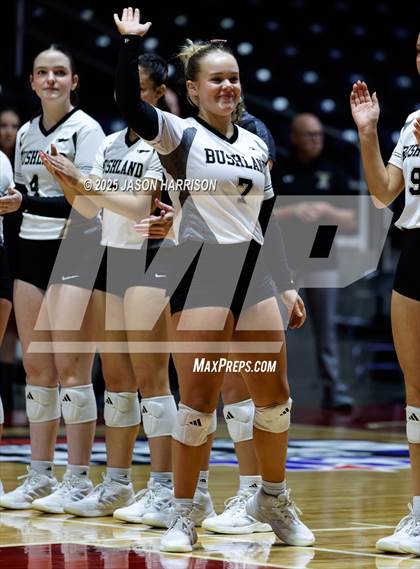 Thumbnail 1 in Goliad vs. Bushland (UIL 3A D1 Volleyball Final) photogallery.