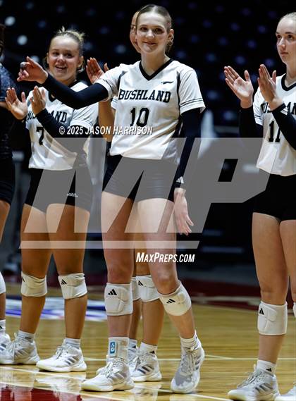 Thumbnail 1 in Goliad vs. Bushland (UIL 3A D1 Volleyball Final) photogallery.