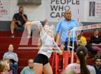 Photo from the gallery "Windsor @ Montgomery"