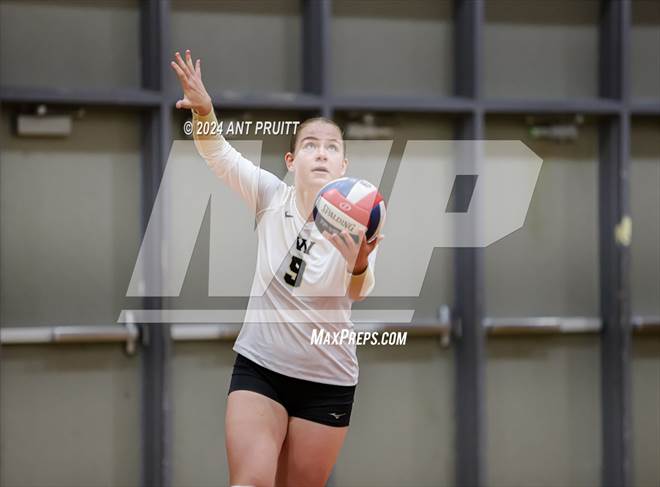 null - Photo 11
