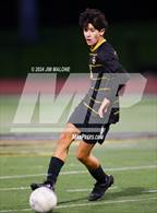 Photo from the gallery "Milpitas @ Mountain View"