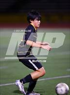 Photo from the gallery "Milpitas @ Mountain View"