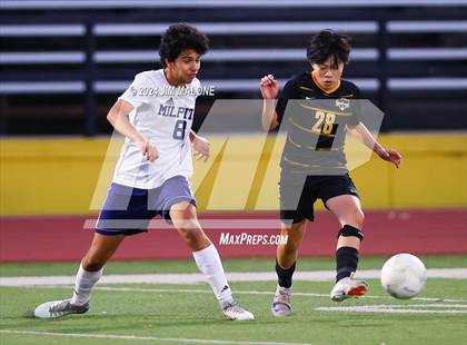 Thumbnail 3 in Milpitas @ Mountain View photogallery.