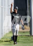 Photo from the gallery "Amphitheater @ Sahuaro"