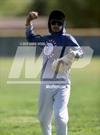 Photo from the gallery "Amphitheater @ Sahuaro"