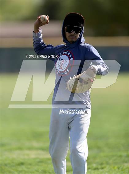 Thumbnail 2 in Amphitheater @ Sahuaro photogallery.