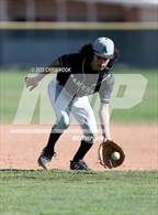 Photo from the gallery "Amphitheater @ Sahuaro"