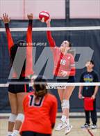 Photo from the gallery "East @ West"