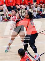 Photo from the gallery "East @ West"