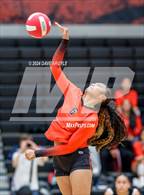 Photo from the gallery "East @ West"