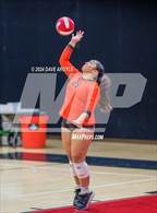 Photo from the gallery "East @ West"