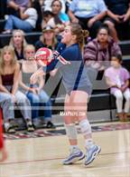 Photo from the gallery "East @ West"