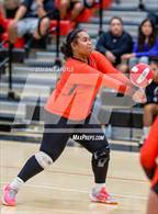 Photo from the gallery "East @ West"