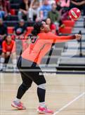 Photo from the gallery "East @ West"