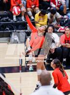 Photo from the gallery "East @ West"