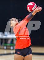 Photo from the gallery "East @ West"