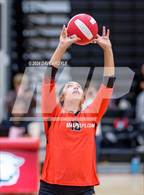 Photo from the gallery "East @ West"