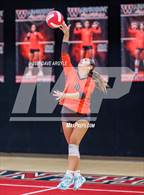 Photo from the gallery "East @ West"