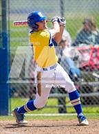 Photo from the gallery "Roseville @ Del Campo"