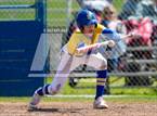 Photo from the gallery "Roseville @ Del Campo"