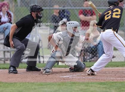 Thumbnail 2 in Roy @ Northridge photogallery.
