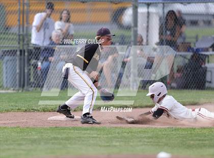 Thumbnail 3 in Roy @ Northridge photogallery.