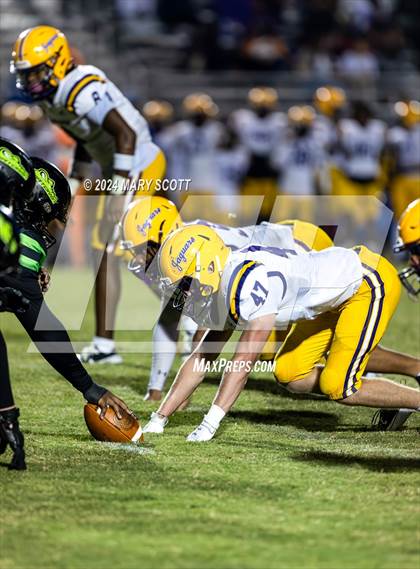 Thumbnail 3 in DeSoto Central @ Lake Cormorant photogallery.
