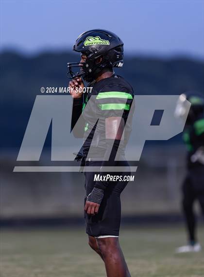Thumbnail 3 in DeSoto Central @ Lake Cormorant photogallery.