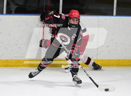 Thumbnail 3 in Cheshire @ Fairfield Warde/Ludlowe photogallery.
